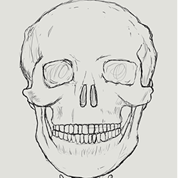 Skull painting